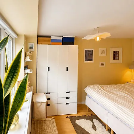 Characterful Split-level Flat In Christianshavn *